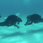 Peak Performance Buoyancy-Sept 23