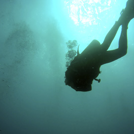 Go with the Flow: The Basics of Drift Diving