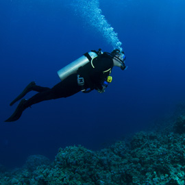 After getting your Illinois dive certification and taking a specialty dive class, try deep diving