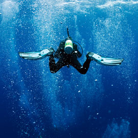 Nitrox diving after scuba certification in Illinois